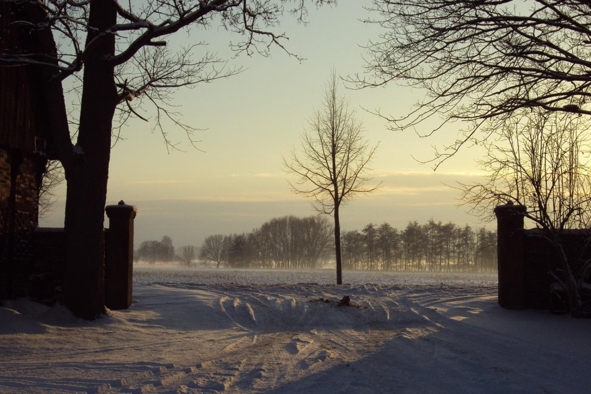 Pavenstädts Hof Dez 2010