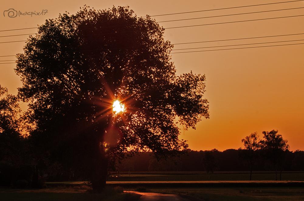 Sonnenuntergang_Stempel